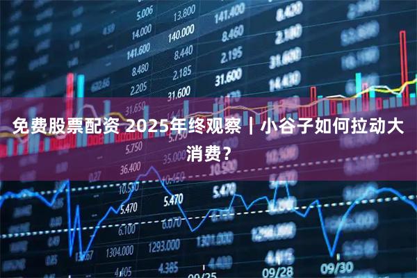 免费股票配资 2025年终观察｜小谷子如何拉动大消费？